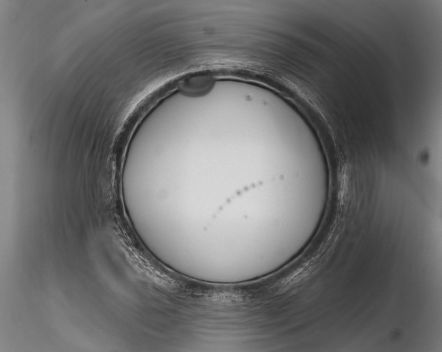 X0000116381021200912161456
