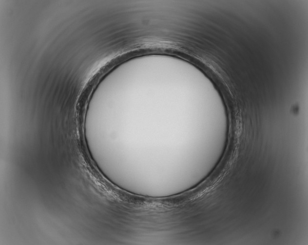 X0000116381022200912161456