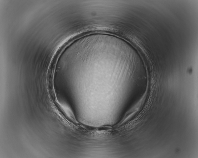 X0000116381024200912161456