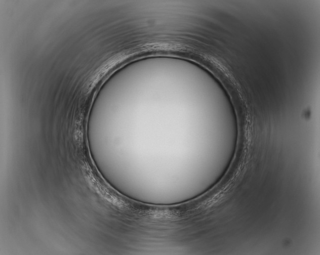X0000116381025200912161456
