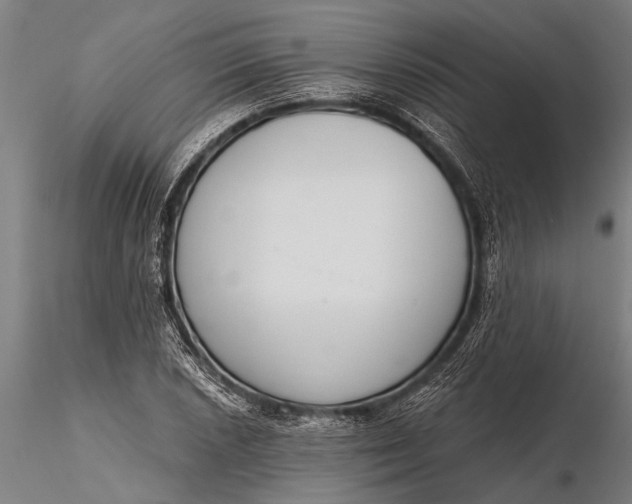 X0000116381026200912161456