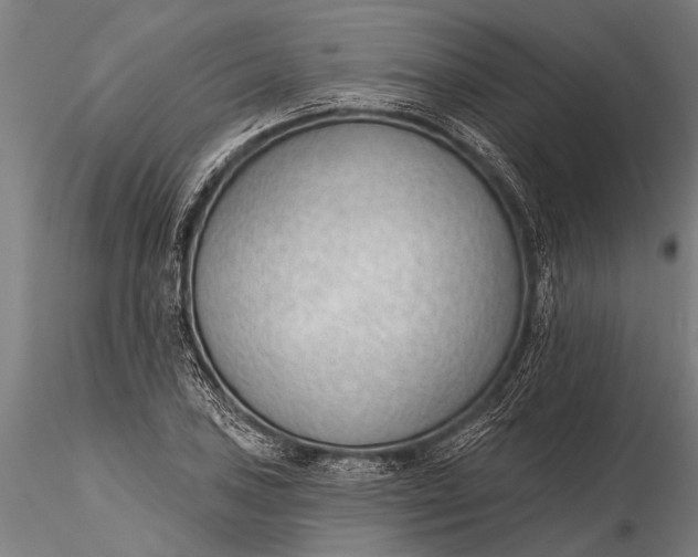 X0000116381027200912161456