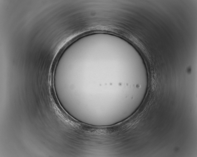 X0000116381028200912161456