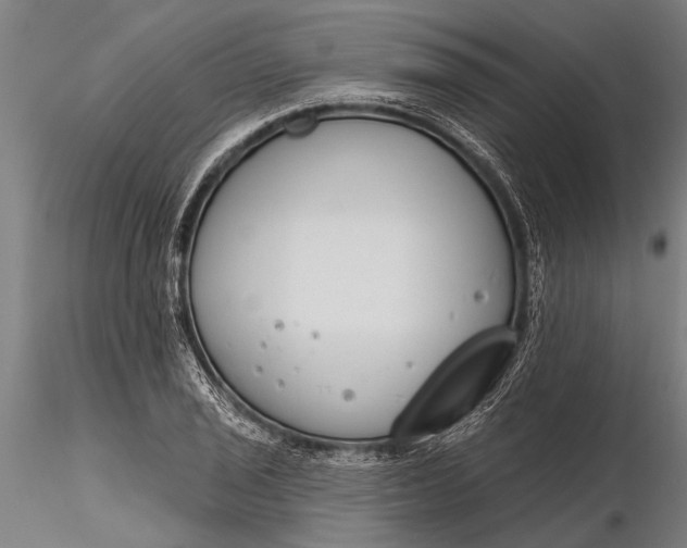 X0000116381029200912161456