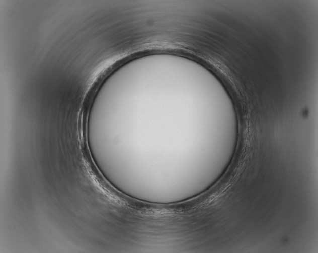 X0000116381030200912161456