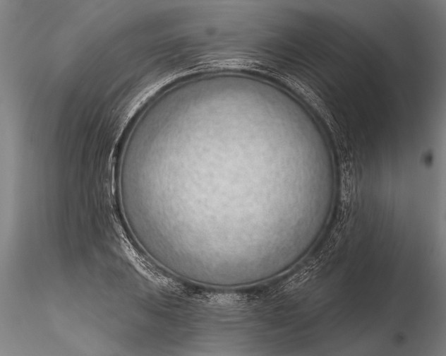 X0000116381031200912161456