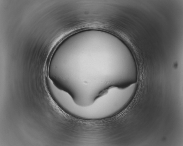 X0000116381032200912161456
