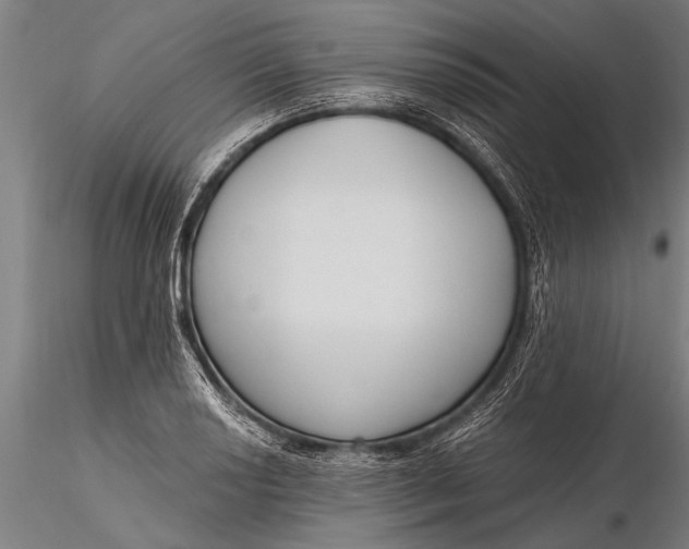 X0000116381034200912161456