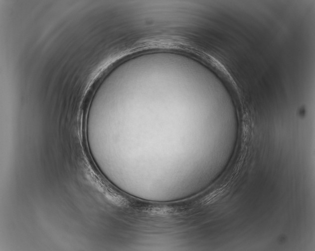 X0000116381035200912161456