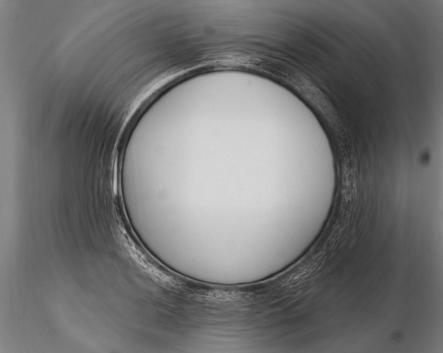 X0000116381036200912161456