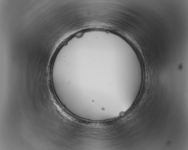 X0000116381037200912161456