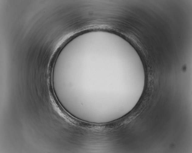 X0000116381038200912161456