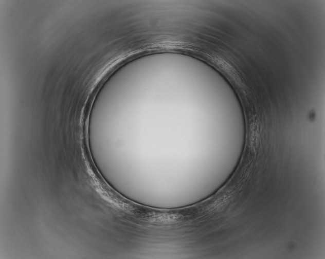 X0000116381039200912161456