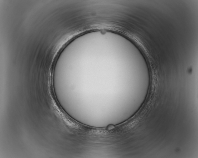 X0000116381040200912161456