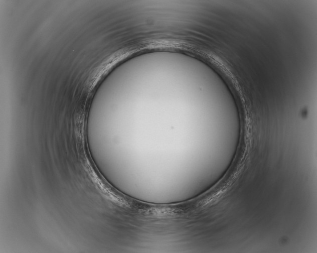 X0000116381041200912161456