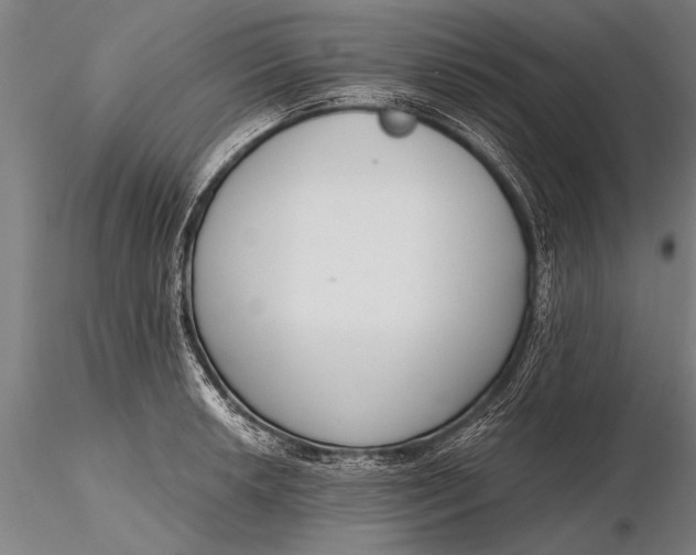 X0000116381042200912161456