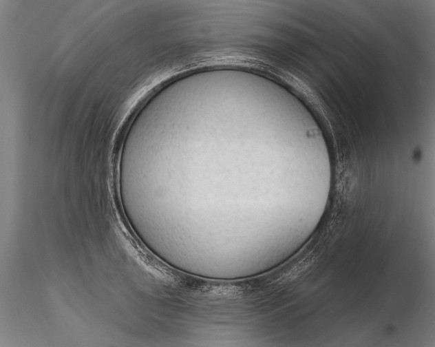 X0000116381043200912161456