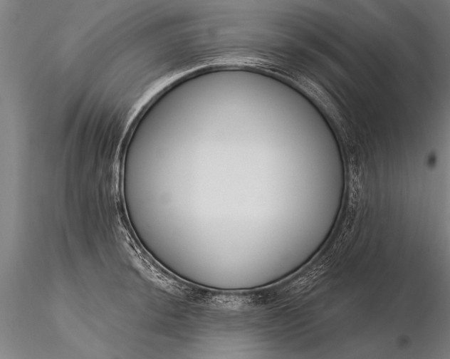 X0000116381044200912161456