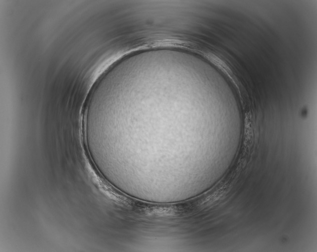 X0000116381047200912161456