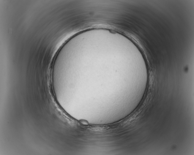 X0000116381048200912161456