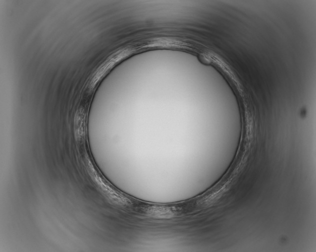 X0000116381049200912161456