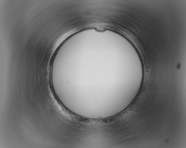 X0000116381050200912161456