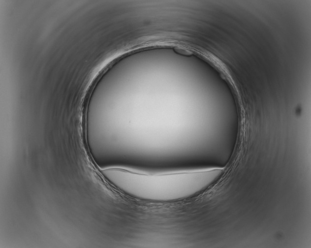 X0000116381051200912161456
