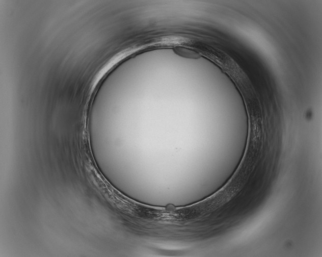X0000116381052200912161456