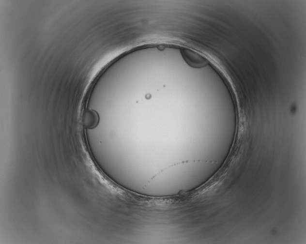 X0000116381053200912161456