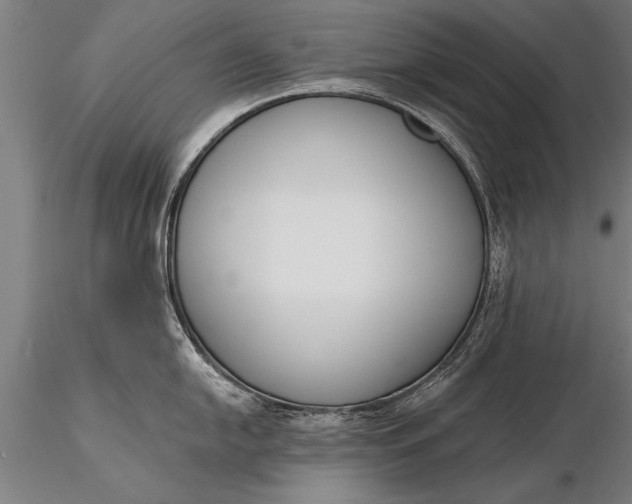 X0000116381054200912161456