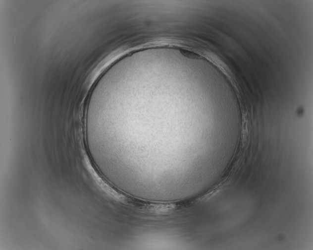 X0000116381055200912161456