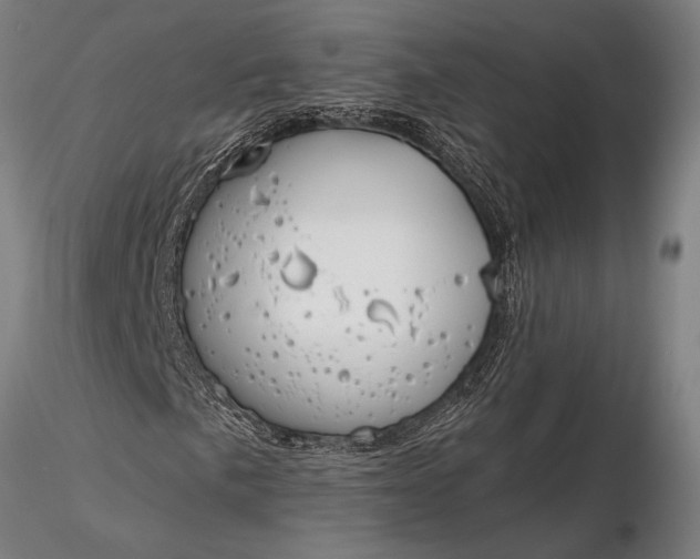 X0000116381057200912161456