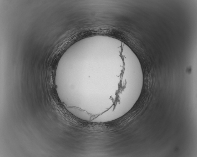 X0000116381058200912161456