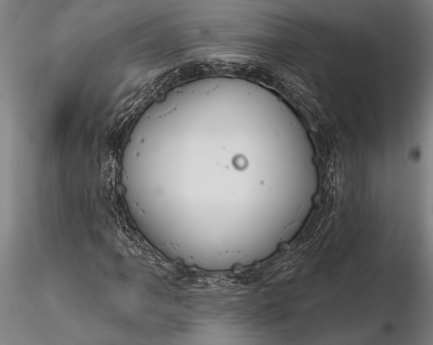 X0000116381061200912161455