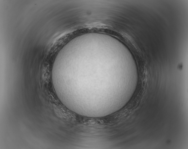 X0000116381063200912161455