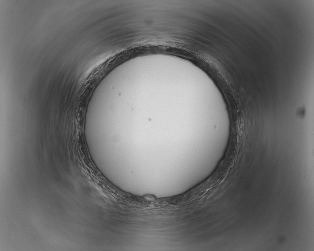 X0000116381064200912161455