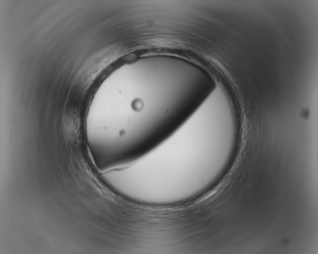 X0000116381065200912161455