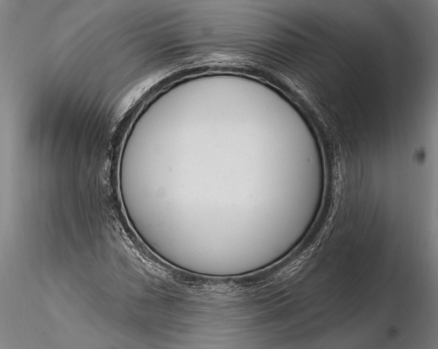 X0000116381066200912161455
