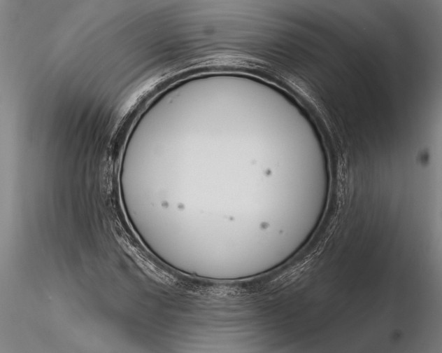 X0000116381067200912161455