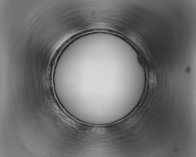 X0000116381068200912161455