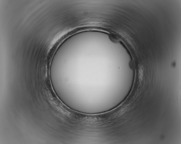 X0000116381069200912161455