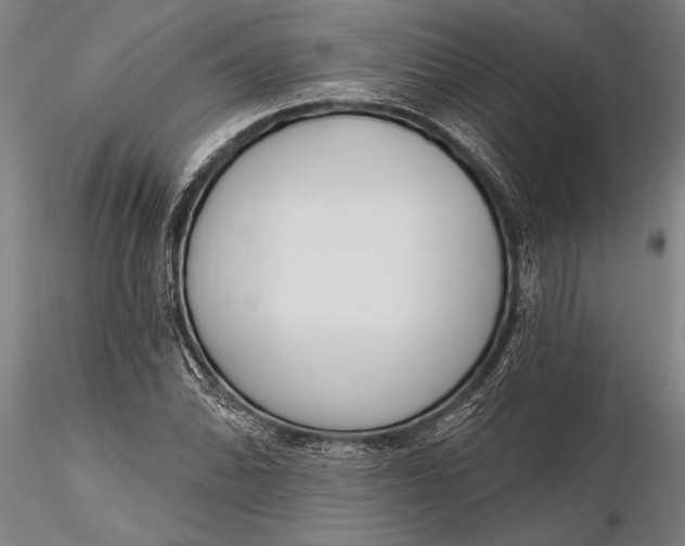 X0000116381070200912161455