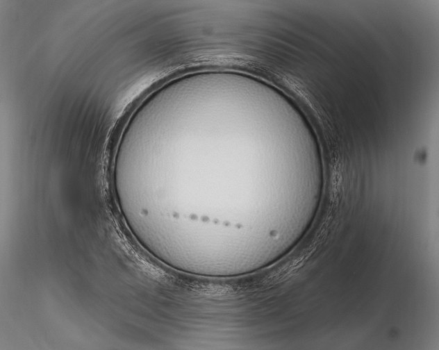 X0000116381071200912161455