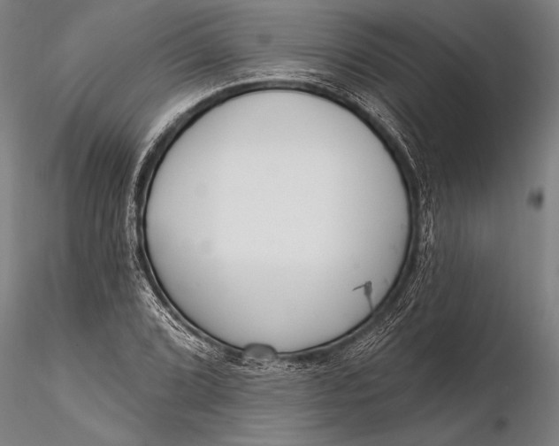 X0000116381072200912161455