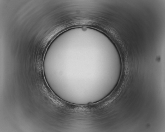 X0000116381073200912161455