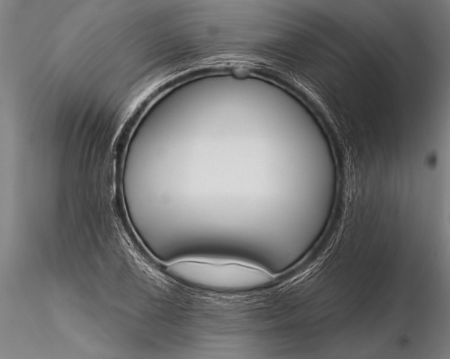 X0000116381075200912161455