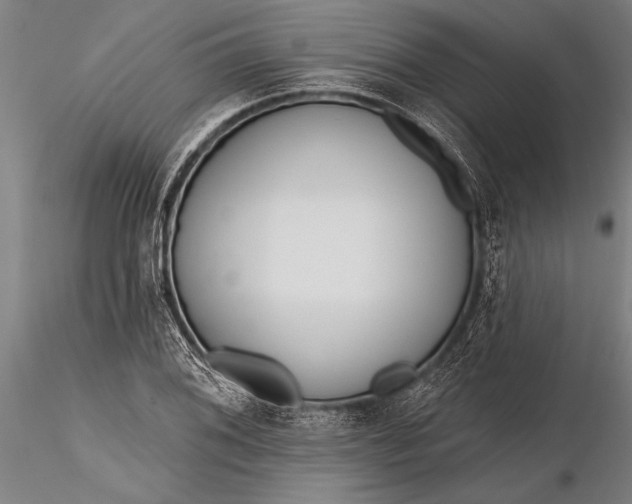 X0000116381076200912161455