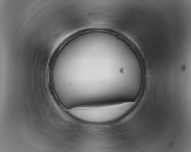 X0000116381077200912161455