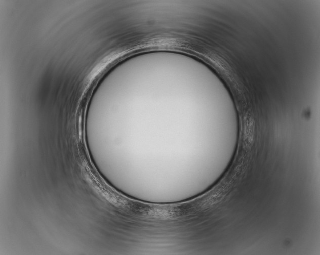 X0000116381078200912161455