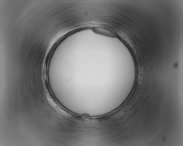 X0000116381080200912161455